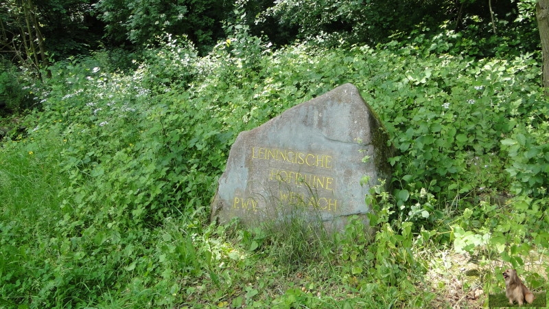 Ritterstein Nr. 281-4b Leiningische Hofruine Weilach.JPG - Ritterstein Nr.281 Leiningische Hofruine Weilach